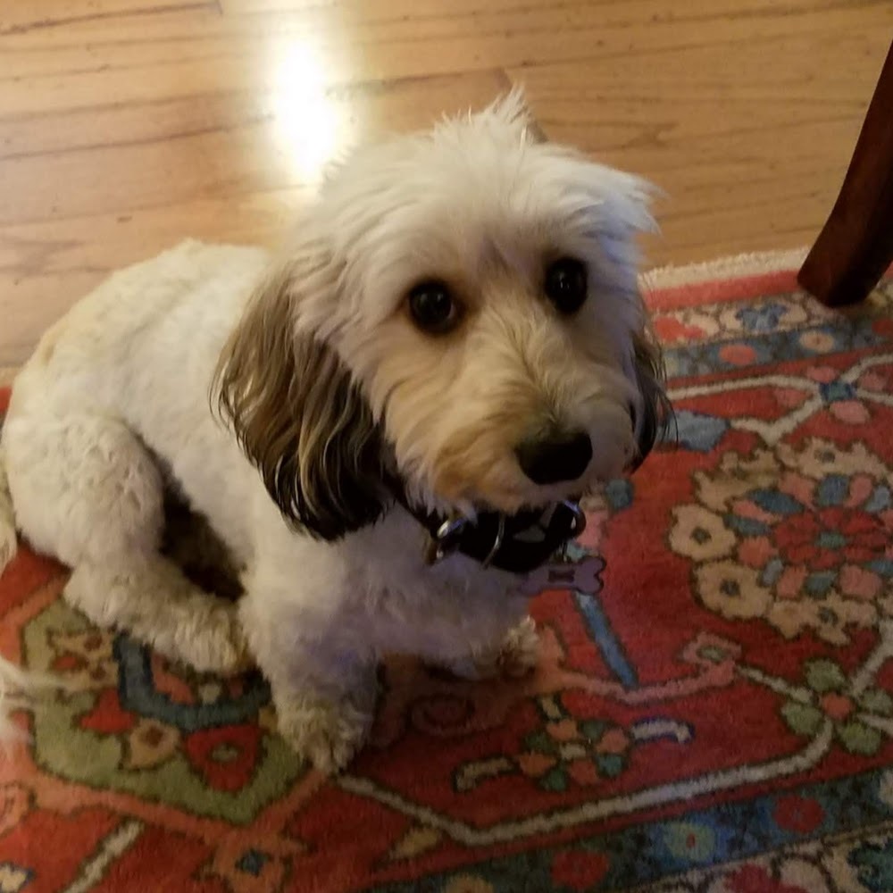 Meet your Posher, Nora